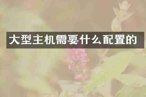 大型主机需要什么配置的