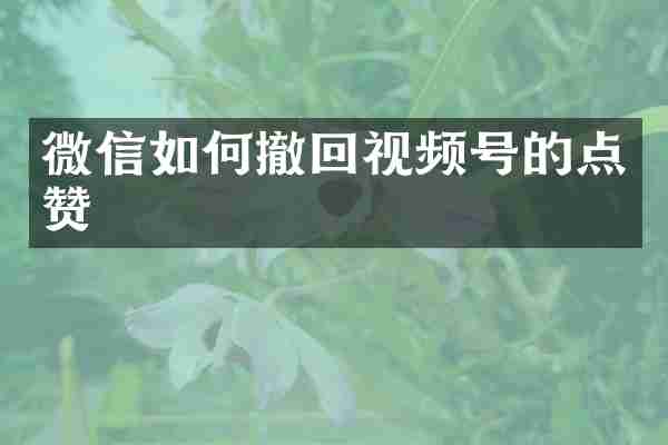 微信如何撤回视频号的点赞