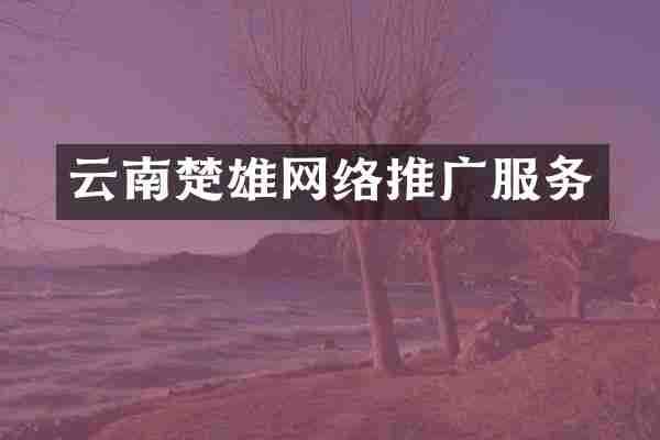 云南楚雄网络推广服务