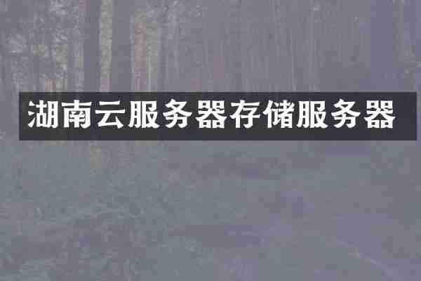 湖南云服务器存储服务器