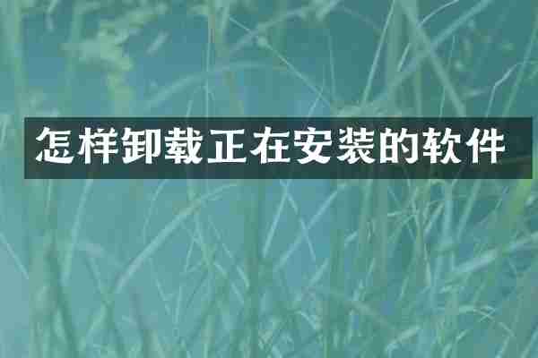 怎样卸载正在安装的软件