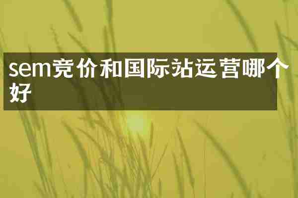 sem竞价和国际站运营哪个好