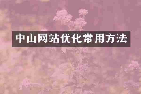 中山网站优化常用方法