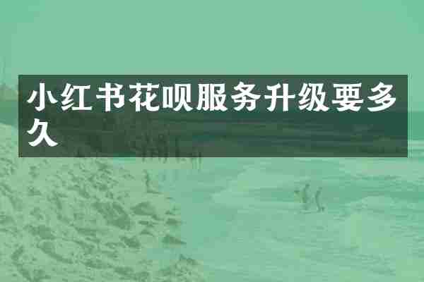 小红书花呗服务升级要多久