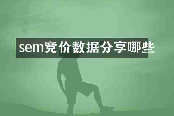sem竞价数据分享哪些