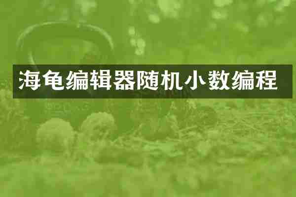 海龟编辑器随机小数编程