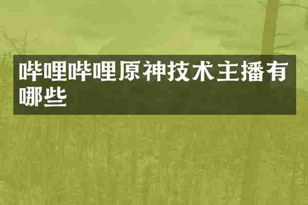 哔哩哔哩原神技术主播有哪些