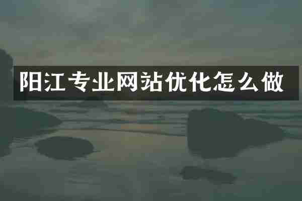 阳江专业网站优化怎么做