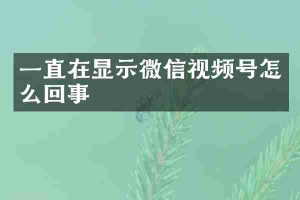 一直在显示微信视频号怎么回事