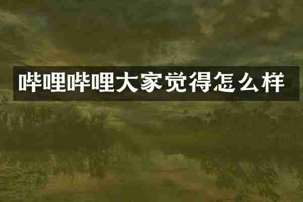 哔哩哔哩大家觉得怎么样