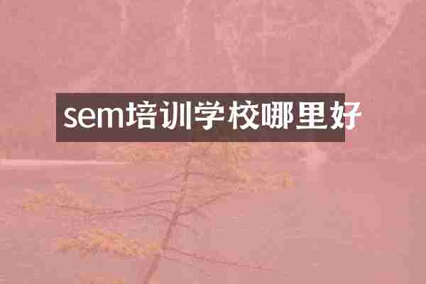 sem培训学校哪里好