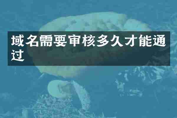 域名需要审核多久才能通过