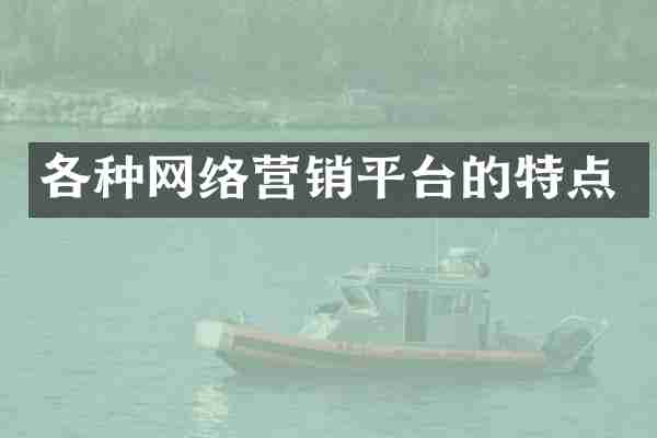 各种网络营销平台的特点