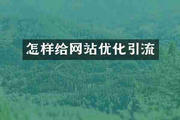 怎样给网站优化引流