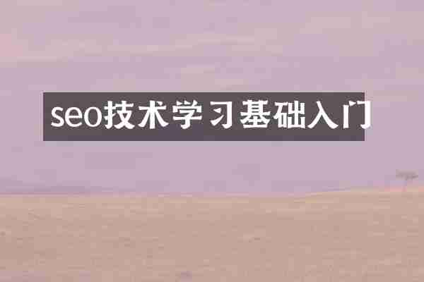 seo技术学习基础入门
