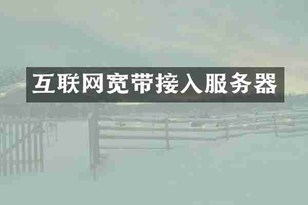 互联网宽带接入服务器