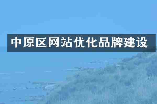 中原区网站优化品牌建设