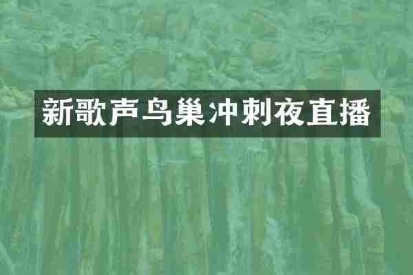 新歌声鸟巢冲刺夜直播