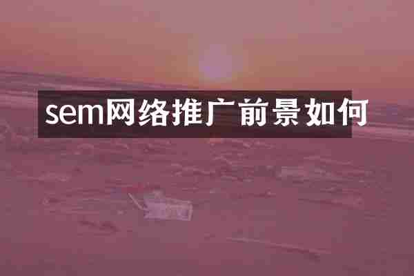 sem网络推广前景如何