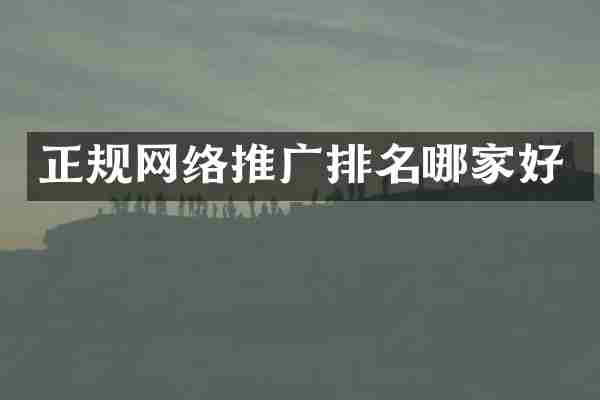 正规网络推广排名哪家好