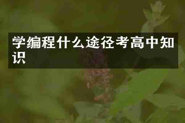 学编程什么途径考高中知识