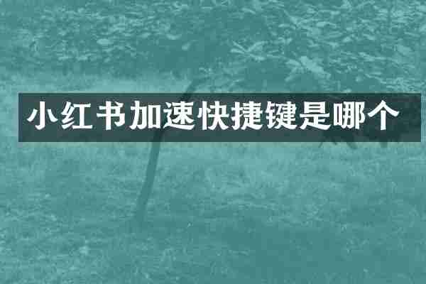 小红书加速快捷键是哪个