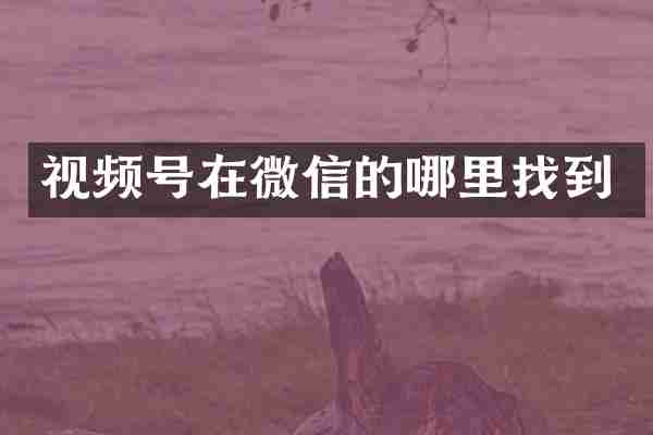 视频号在微信的哪里找到