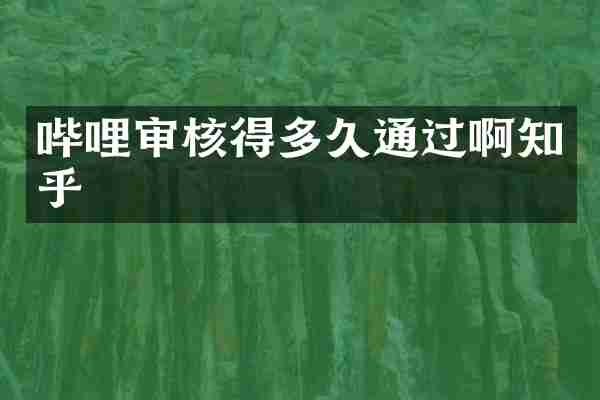 哔哩审核得多久通过啊知乎