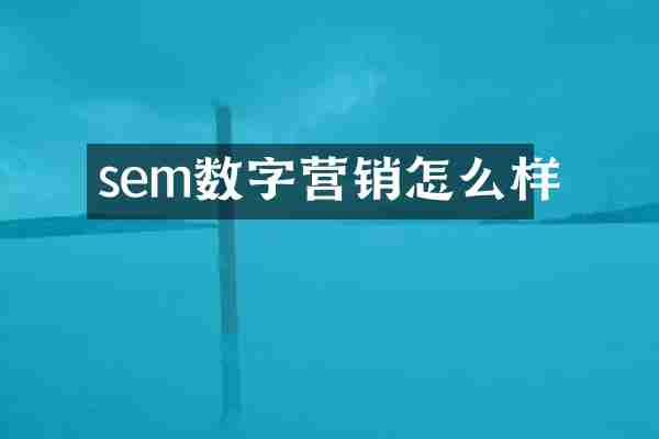 sem数字营销怎么样