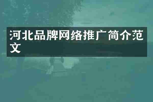 河北品牌网络推广简介范文
