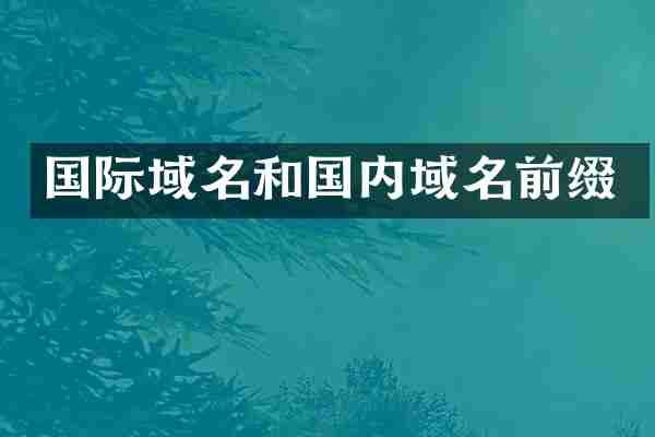 国际域名和国内域名前缀