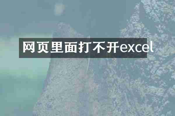 网页里面打不开excel
