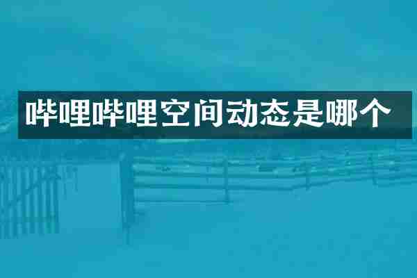 哔哩哔哩空间动态是哪个