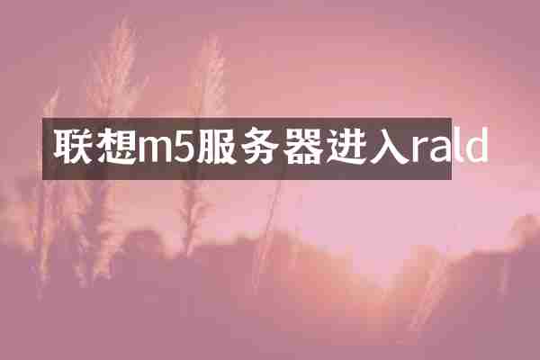 联想m5服务器进入rald