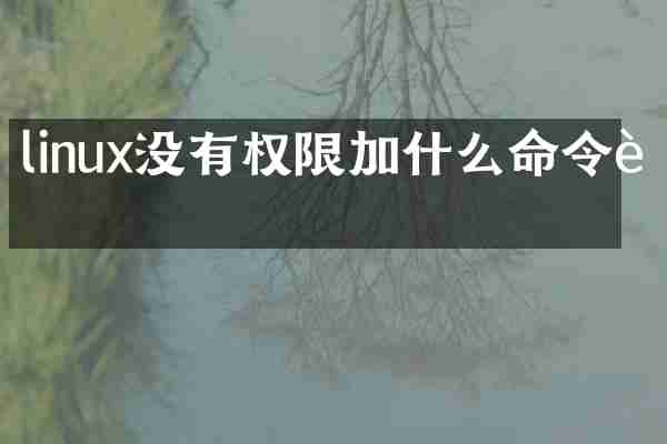 linux没有权限加什么命令行