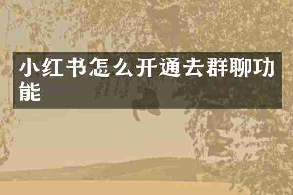 小红书怎么开通去群聊功能