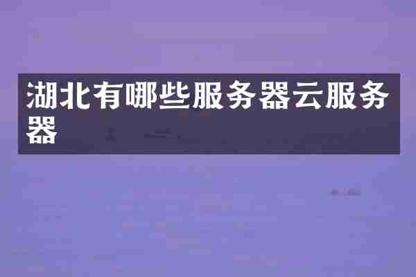 湖北有哪些服务器云服务器