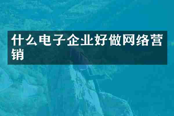 什么电子企业好做网络营销