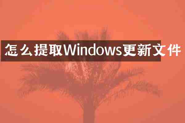 怎么提取Windows更新文件