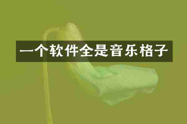 一个软件全是音乐格子