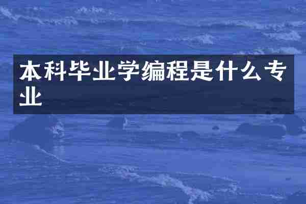 本科毕业学编程是什么专业