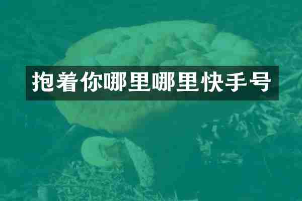 抱着你哪里哪里快手号