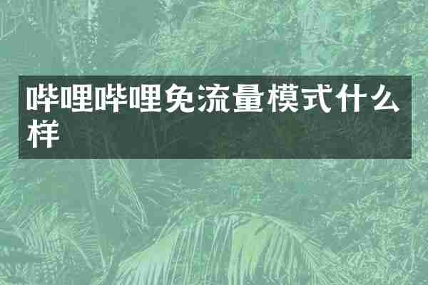 哔哩哔哩免流量模式什么样