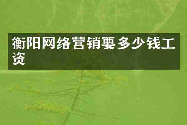 衡阳网络营销要多少钱工资