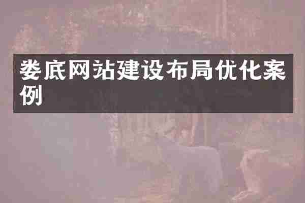 娄底网站建设布局优化案例