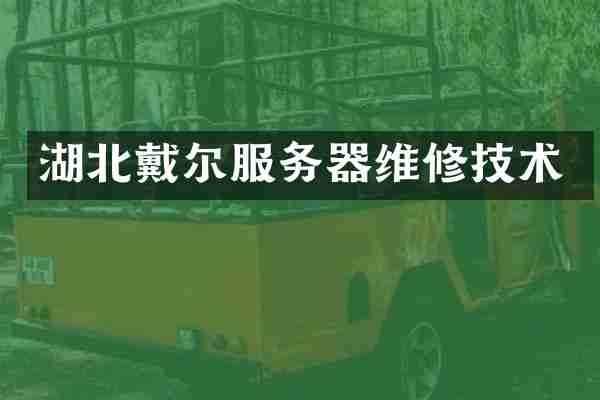 湖北戴尔服务器维修技术