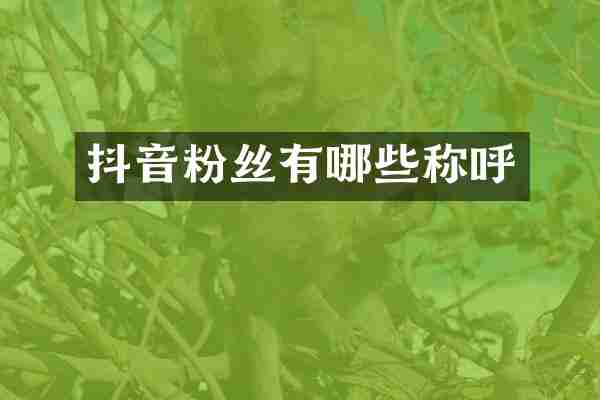 抖音粉丝有哪些称呼