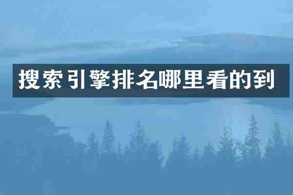 搜索引擎排名哪里看的到