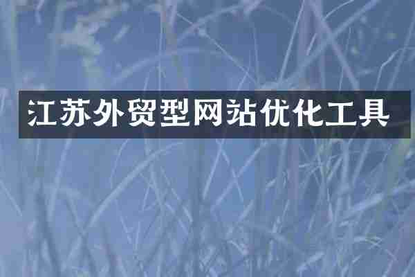 江苏外贸型网站优化工具