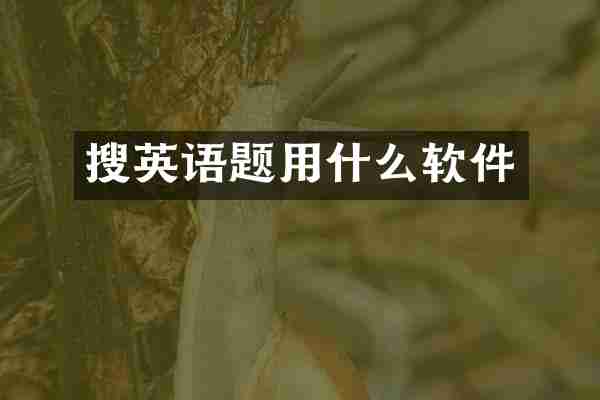 搜英语题用什么软件